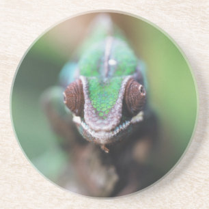 Dessous De Verre En Grès Madagascar, bar rouge Panther Chameleon