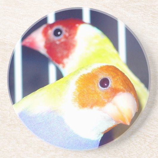 Dessous De Verre En Grès Madame Gouldian Finch (Devant)