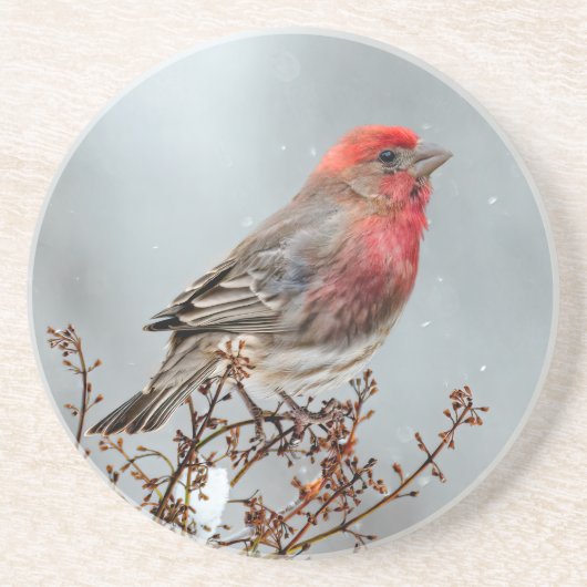 Dessous De Verre En Grès Maison Finch en Neige - Photo originale (Devant)