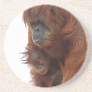 Dessous De Verre En Grès Maman et bébé Orangutan