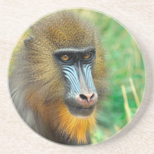 Dessous De Verre En Grès Mandrill 002 (Devant)