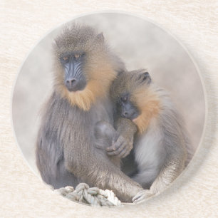 Dessous De Verre En Grès Mandrill et jeune montagnes russes