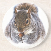Dessous De Verre En Grès Manger l'écureuil (Devant)