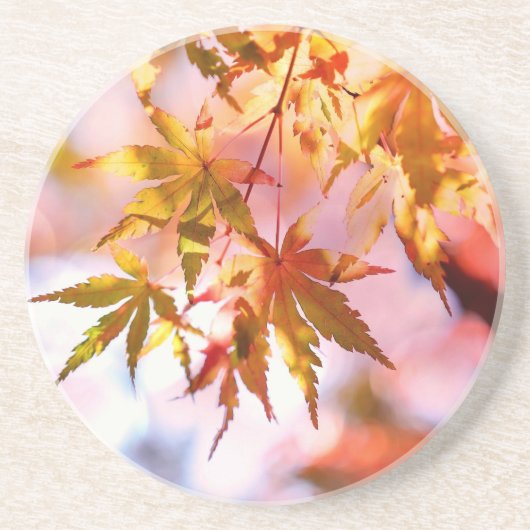 Dessous De Verre En Grès Maple Feuille Landscape Design-21355 (Devant)