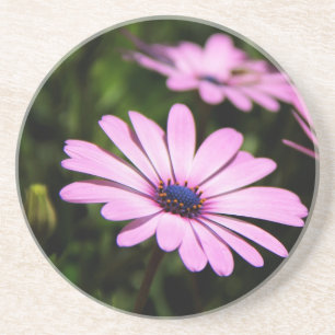 Dessous De Verre En Grès Marguerite africaine
