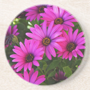 Dessous De Verre En Grès Marguerite africaine violette