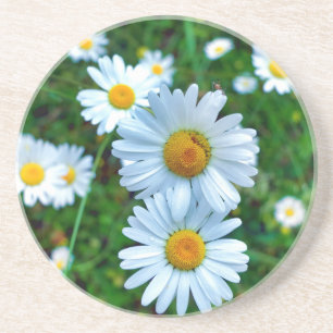 Dessous De Verre En Grès Marguerites oculaires