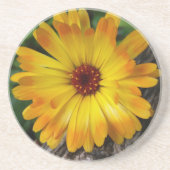 Dessous De Verre En Grès marigold sur le journal (Devant)