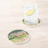 Dessous De Verre En Grès Matin d'échec éclairé (Côté)