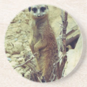 Dessous De Verre En Grès Meerkat (Devant)