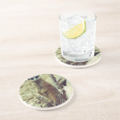 Dessous De Verre En Grès Meerkat (Côté)