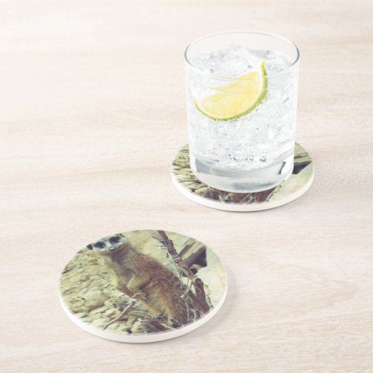 Dessous De Verre En Grès Meerkat (Côté)
