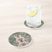 Dessous De Verre En Grès Meerkat 081 (Côté)