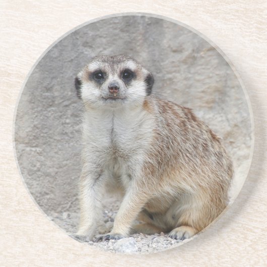 Dessous De Verre En Grès Meerkat 134 (Devant)