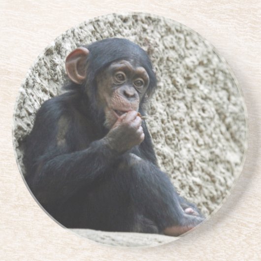 Dessous De Verre En Grès Mer de Chimpané 013 (Devant)