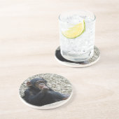 Dessous De Verre En Grès Mer de Chimpané 013 (Côté)