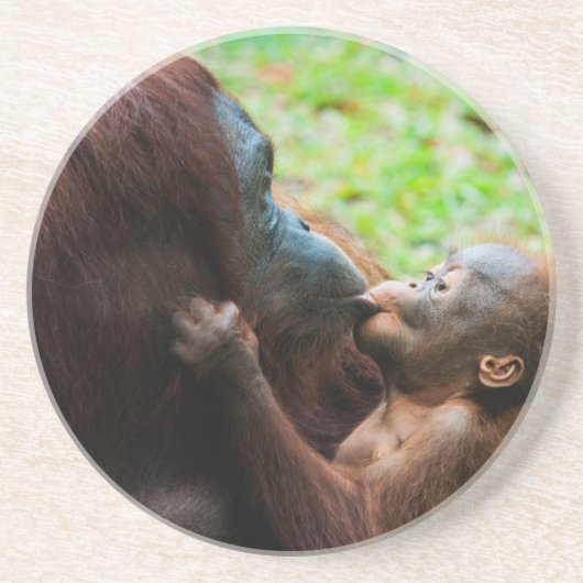 Dessous De Verre En Grès Mère orang-outan et bébé (Devant)