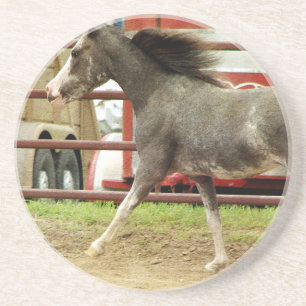 Dessous De Verre En Grès Mini galops de cheval de Pinto