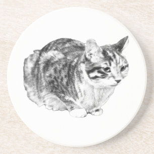 Dessous De Verre En Grès Minuscule galerie : Tabby sur Cushion