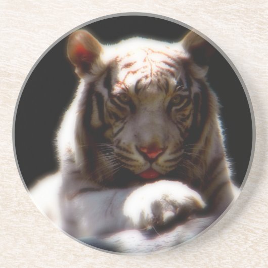 Dessous De Verre En Grès Mirage blanc de tigre (Devant)