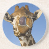 Dessous De Verre En Grès Mmmm Mmmmm bon (Devant)