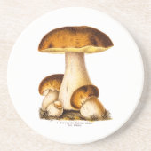 Dessous De Verre En Grès Modèle comestible de champignons de champignon (Devant)