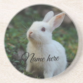 Dessous De Verre En Grès Modèle de photo de nom d'animal de compagnie simpl