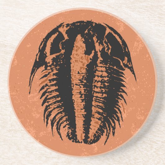 Dessous De Verre En Grès Modocia Typicalis Fossil Trilobite (Devant)