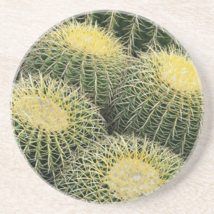 Dessous De Verre En Grès Motif de cactus