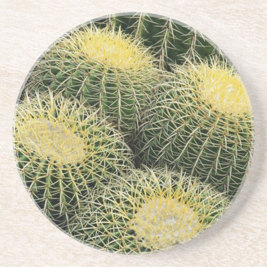 Dessous De Verre En Grès Motif de cactus (Devant)