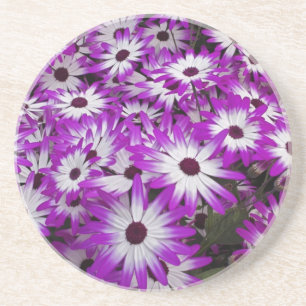Dessous De Verre En Grès Motif floral, Jardins de Kuekenhof, Lisse,