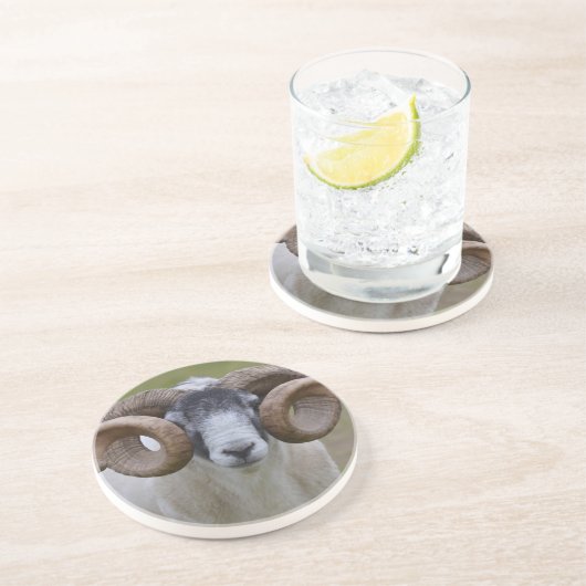 Dessous De Verre En Grès Moutons (Côté)