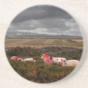 Dessous De Verre En Grès Moutons colorés