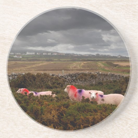 Dessous De Verre En Grès Moutons colorés (Devant)