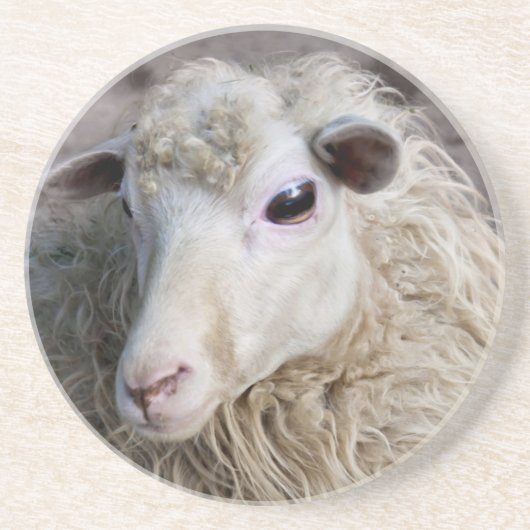 Dessous De Verre En Grès Moutons drôles (Devant)