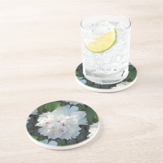 Dessous De Verre En Grès Multi Precious Paon Coaster (Côté)