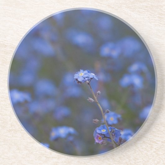 Dessous De Verre En Grès Myosotis des marais (Devant)