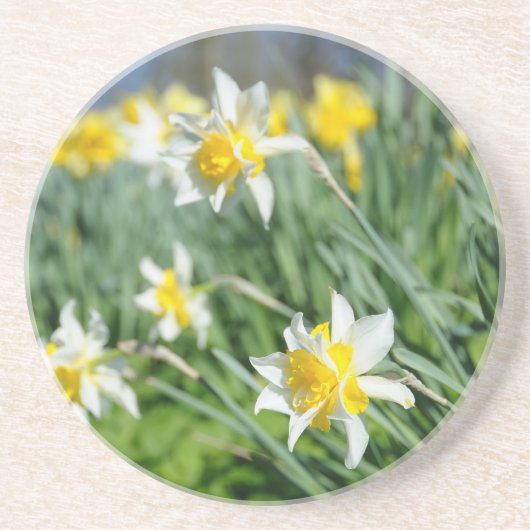 Dessous De Verre En Grès narcisse (Devant)