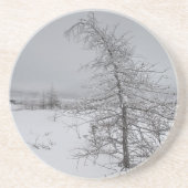 Dessous De Verre En Grès Narnia (Devant)