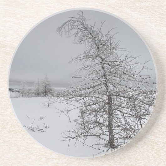 Dessous De Verre En Grès Narnia (Devant)