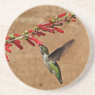 Dessous De Verre En Grès Nourriture des colibris au Jardin