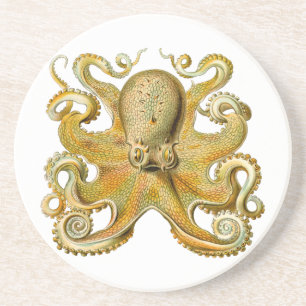 Dessous De Verre En Grès Octopus illustration antique monstre marin