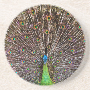 Dessous De Verre En Grès Œuvre d'art élégante de paon et de plume