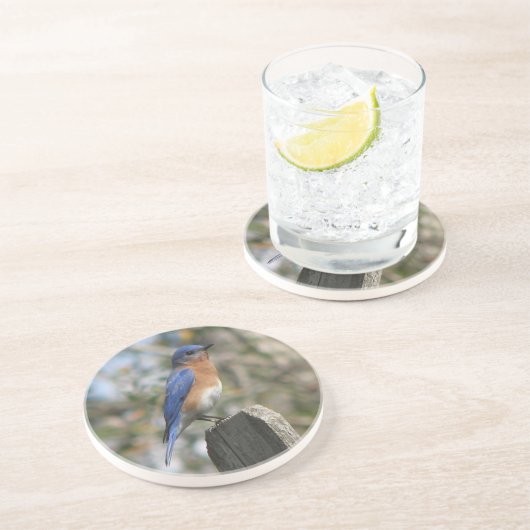 Dessous De Verre En Grès Oiseau bleu oriental masculin (Côté)