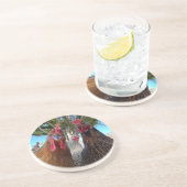 Dessous de verre en grès Oiseaux avec attitude (Côté)