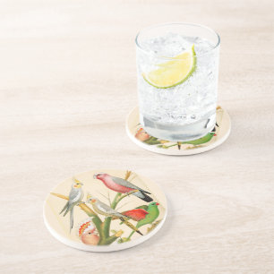 Dessous De Verre En Grès Oiseaux vintages - perroquets, oiseaux tropicaux