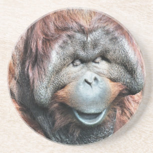 DESSOUS DE VERRE EN GRÈS ORANGUTANS
