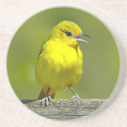 Dessous De Verre En Grès Orchard Oriole - Photo originale (Devant)