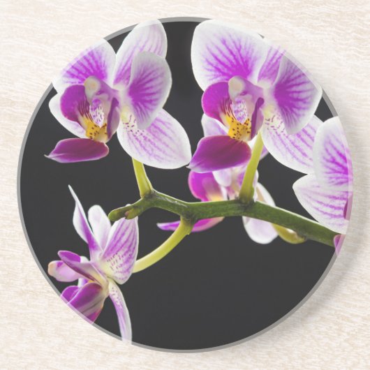 Dessous De Verre En Grès Orchidée blanche et violette (Devant)
