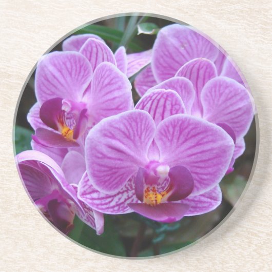 Dessous De Verre En Grès Orchidée de lavande (Devant)